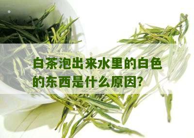 白茶泡出来水里的白色的东西是什么原因？