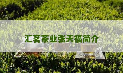 汇茗茶业张天福简介