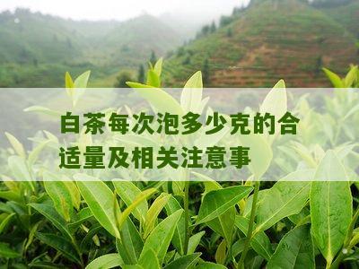 白茶每次泡多少克的合适量及相关注意事