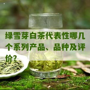 绿雪芽白茶代表性哪几个系列产品、品种及评价？