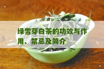 绿雪芽白茶的功效与作用、禁忌及简介