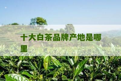 十大白茶品牌产地是哪里