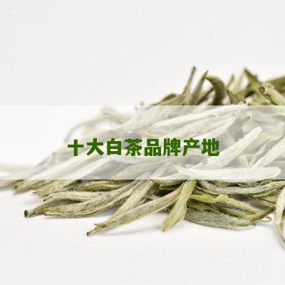 十大白茶品牌产地