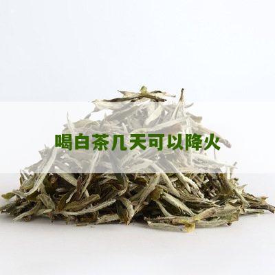 喝白茶几天可以降火