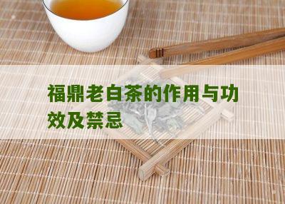 福鼎老白茶的作用与功效及禁忌