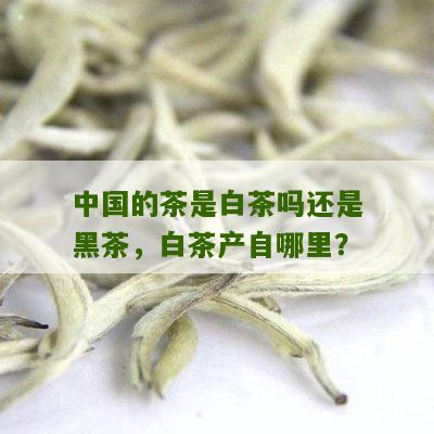 中国的茶是白茶吗还是黑茶，白茶产自哪里？