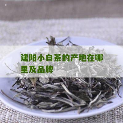 建阳小白茶的产地在哪里及品牌