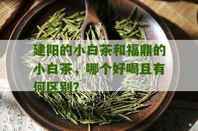 建阳的小白茶和福鼎的小白茶，哪个好喝且有何区别？