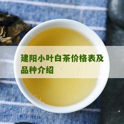 建阳小叶白茶价格表及品种介绍