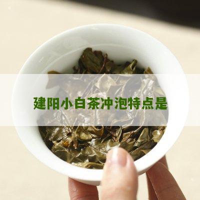 建阳小白茶冲泡特点是