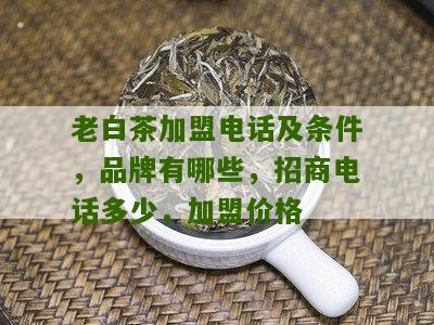 老白茶加盟电话及条件，品牌有哪些，招商电话多少，加盟价格