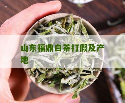 山东福鼎白茶打假及产地