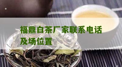 福鼎白茶厂家联系电话及场位置