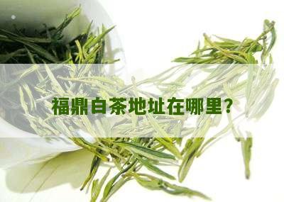 福鼎白茶地址在哪里？