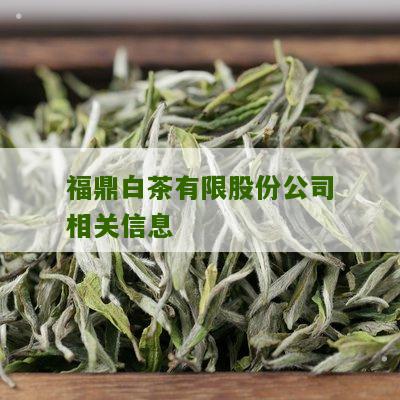 福鼎白茶有限股份公司相关信息