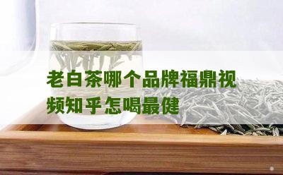 老白茶哪个品牌福鼎视频知乎怎喝最健