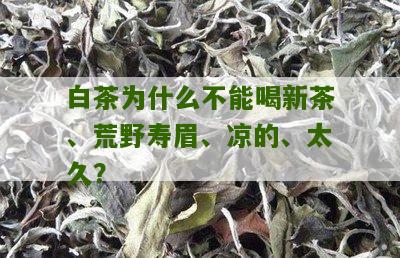 白茶为什么不能喝新茶、荒野寿眉、凉的、太久？