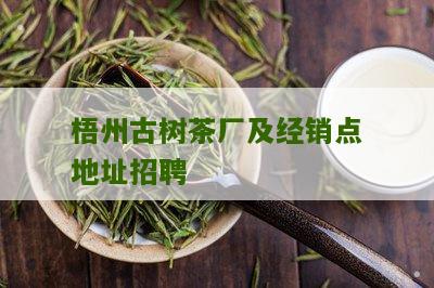 梧州古树茶厂及经销点地址招聘