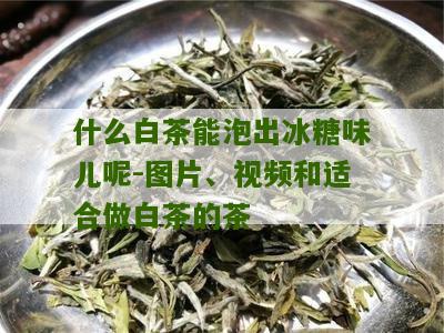 什么白茶能泡出冰糖味儿呢-图片、视频和适合做白茶的茶