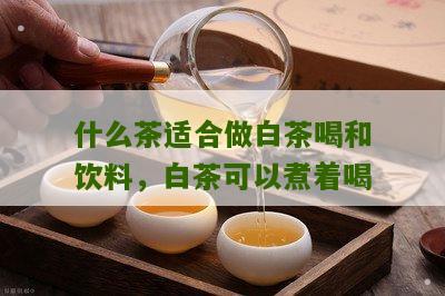 什么茶适合做白茶喝和饮料，白茶可以煮着喝