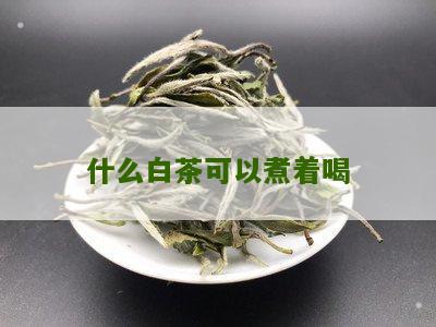 什么白茶可以煮着喝