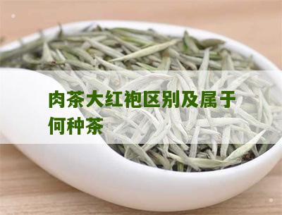 肉茶大红袍区别及属于何种茶