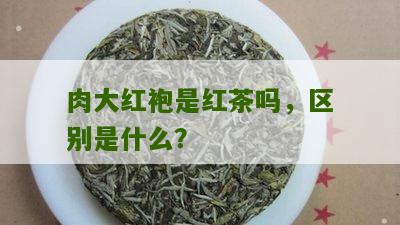 肉大红袍是红茶吗，区别是什么？