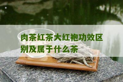 肉茶红茶大红袍功效区别及属于什么茶