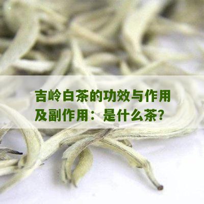 吉岭白茶的功效与作用及副作用：是什么茶？