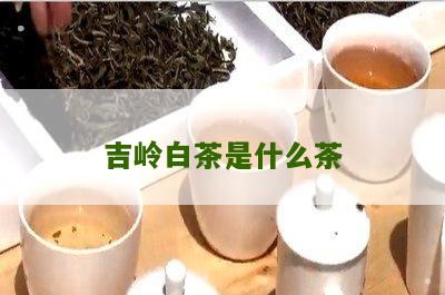 吉岭白茶是什么茶