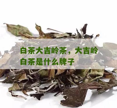 白茶大吉岭茶，大吉岭白茶是什么牌子