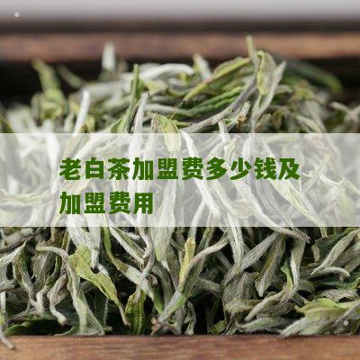 老白茶加盟费多少钱及加盟费用