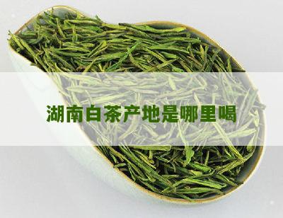 湖南白茶产地是哪里喝