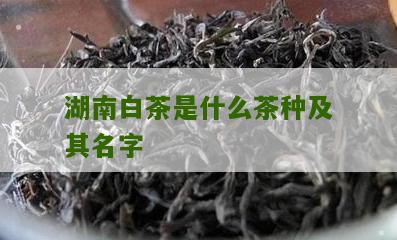 湖南白茶是什么茶种及其名字