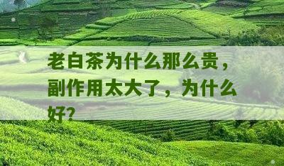 老白茶为什么那么贵，副作用太大了，为什么好？