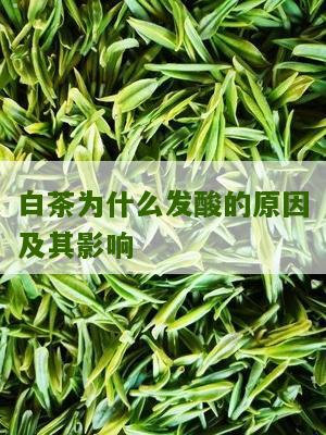 白茶为什么发酸的原因及其影响