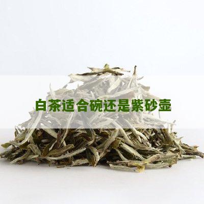 白茶适合碗还是紫砂壶