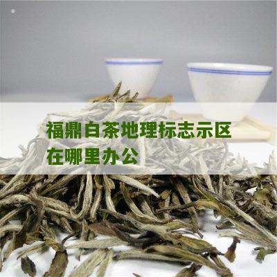 福鼎白茶地理标志示区在哪里办公