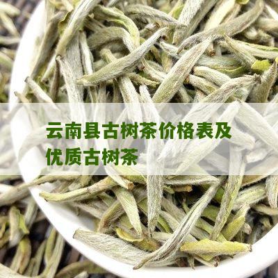 云南县古树茶价格表及优质古树茶