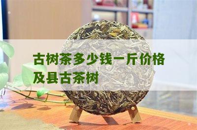 古树茶多少钱一斤价格及县古茶树