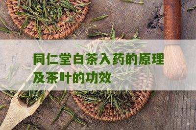 同仁堂白茶入药的原理及茶叶的功效