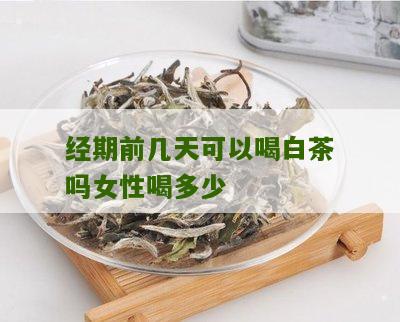 经期前几天可以喝白茶吗女性喝多少