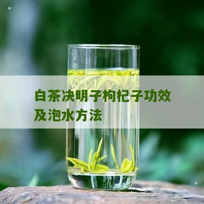 白茶决明子枸杞子功效及泡水方法