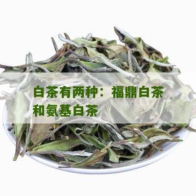 白茶有两种：福鼎白茶和氨基白茶