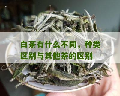 白茶有什么不同，种类区别与其他茶的区别