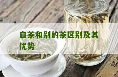 白茶和别的茶区别及其优势