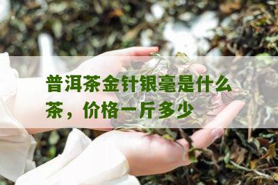 普洱茶金针银毫是什么茶，价格一斤多少