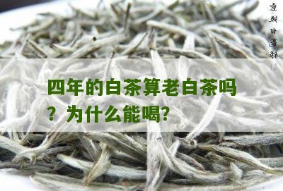 四年的白茶算老白茶吗？为什么能喝？