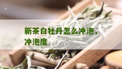 新茶白牡丹怎么冲泡，冲泡度