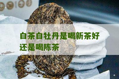 白茶白牡丹是喝新茶好还是喝陈茶